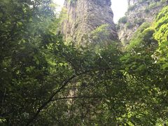 -龙湾潭国家森林公园