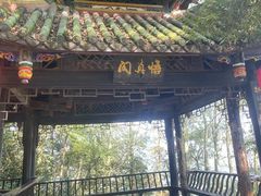 -青城山
