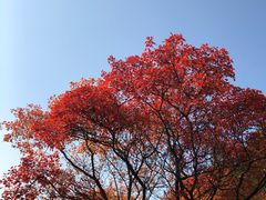 -天津金海湖