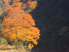 -光雾山旅游景区
