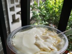 -南海湾森林生态园
