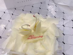 -BLACKSWAN黑天鹅(环球店)