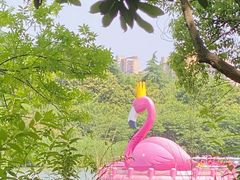 -青枫公园