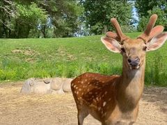 -北京野生动物园