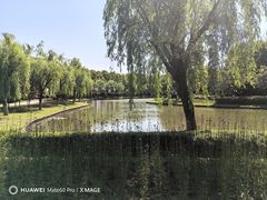 -上海鲜花港