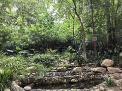 -成都市活水公园