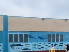 -秦皇岛乐岛海洋王国