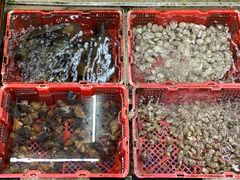 -鹏城人家海鲜酒家·23年老字号(较场尾店)