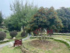 -武汉紫薇都市田园