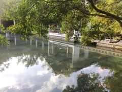 -杭州植物园