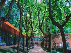 -西安电影制片厂