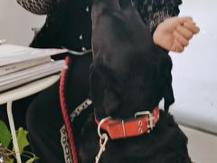 -中农国际动物医院24小时·猫科·骨科·急重症中心