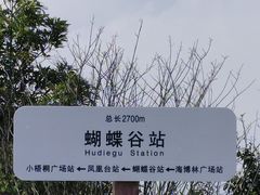 -梧桐山风景名胜区