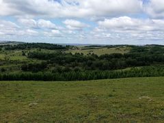 -塞罕坝国家级自然保护区