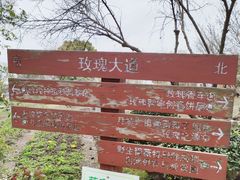-鹅湖玫瑰文化园