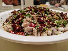 -三猫黑鱼花(南大店)