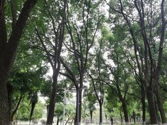 -汉水公园
