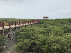 -北海金海湾红树林生态旅游区