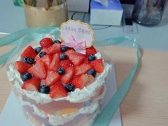 -维尔纳斯·生日蛋糕·动物奶油冰淇淋蛋糕(雨花店)