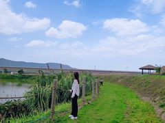 -光明小镇欢乐田园