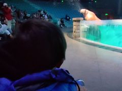 -哈尔滨波塞冬海底世界