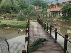 -无锡动物园·太湖欢乐园