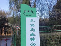 -长白岛森林公园