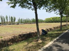 -广富林郊野公园