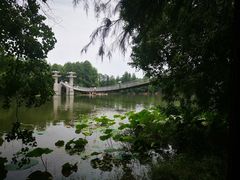 -东湖落雁景区