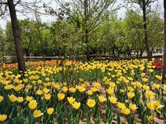 -长春公园(普阳街道)