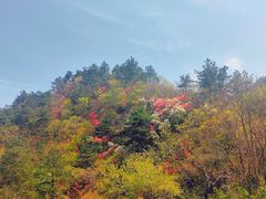 -木兰云雾山
