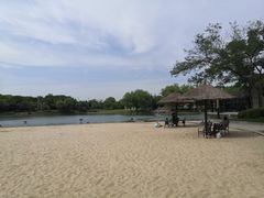 -上海佘山世茂艾美酒店