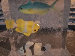 -长春公园(普阳街道)