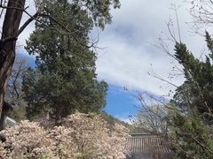 -潭柘寺景区