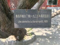 -北京鲁迅博物馆(北京新文化运动纪念馆鲁博馆区)