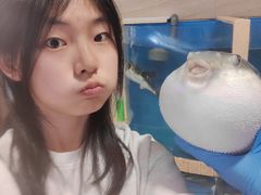 -天正河鲀·河豚亭(大连店)