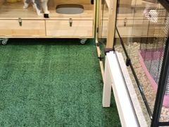 -松雷何所有(中央大街店)