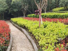 -菊花台公园