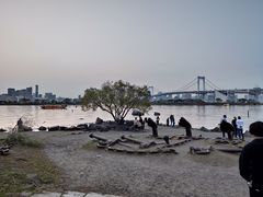 -台场海滨公园船码头