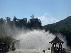 -西双版纳原始森林公园