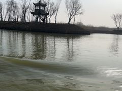 -泗洪洪泽湖湿地景区