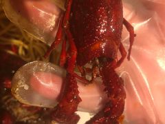 -有位虾匠·香辣蟹·小龙虾(李村店)