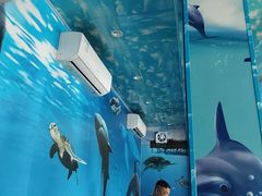 -小海豚•老字号海鲜餐厅(天涯店)