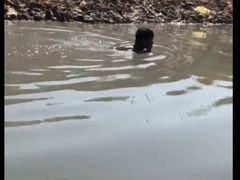 -洞里萨湖