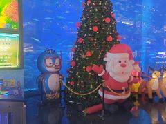 -成都浩海立方海洋公园