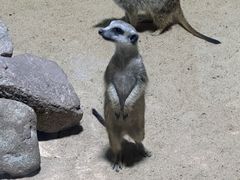 -海合安青岛极地海洋公园