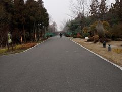 -东平国家森林公园