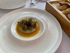 -蝶舍·MAISON PAPILLON