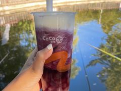 -酷鱼垂钓CLUB(朝阳区博大路店 )