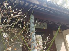 -苏州上方山国家森林公园